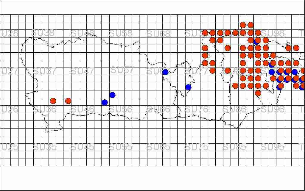 RNP Distribution