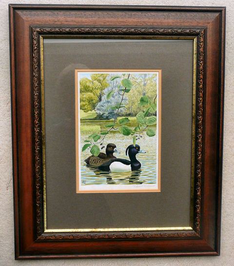 Gillmor Tufted Duck Painting