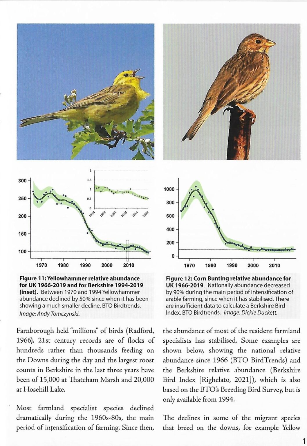 Berkshire’s Birdscapes | Berkshire Ornithological Club